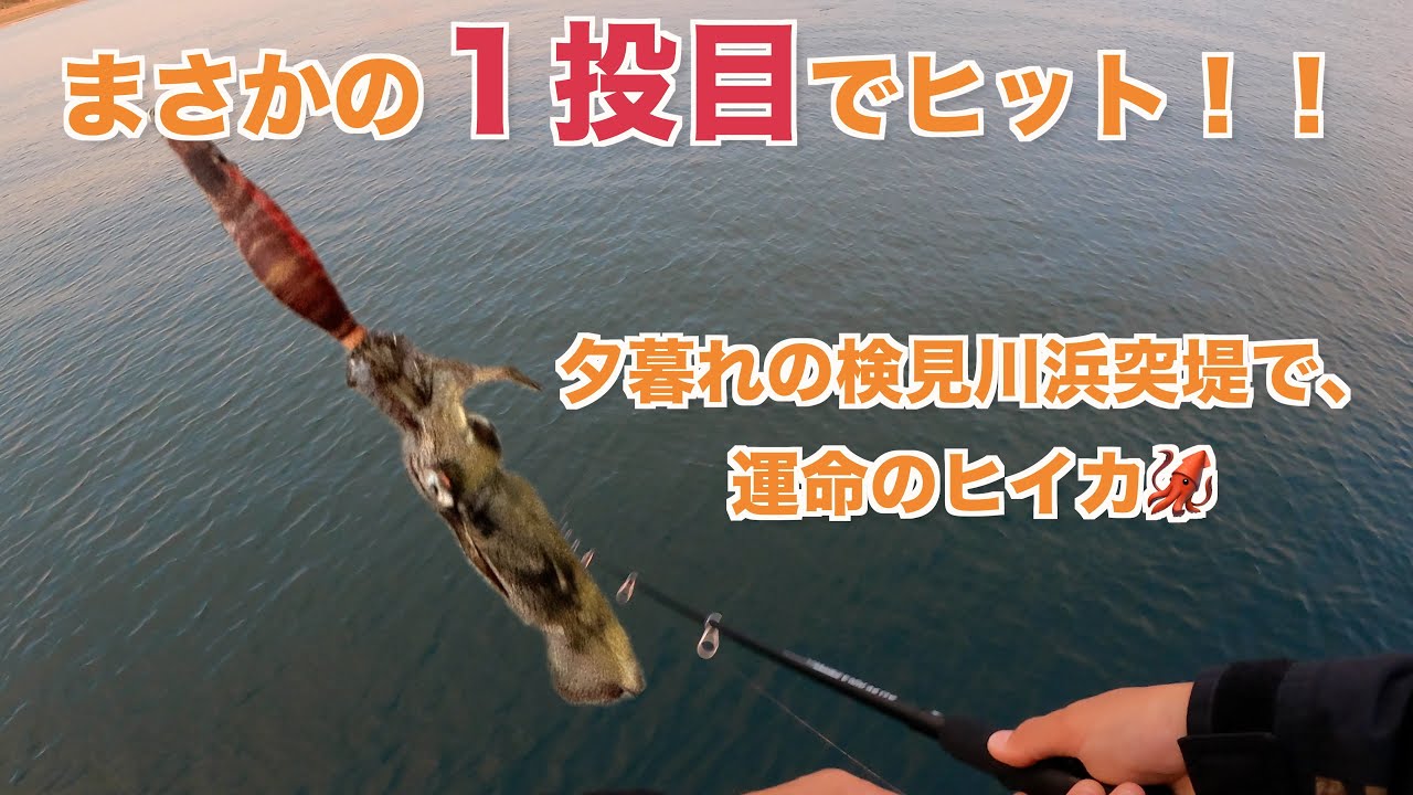 [Новичкам везет!?] В ноябре, отправляясь на ловлю кальмаров на пляже Кемигава, я клюнул с первого...