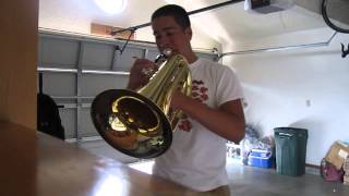 2015 Troopers Brass Assignment 2