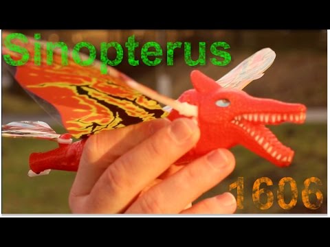 Günther Flugspiele Sinopterus