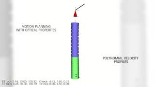 Continuum Robot Assisted Laser Surgery