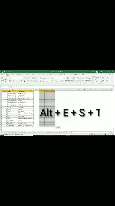 Shortcut Key to Use Format Painter in Excel - YouTube