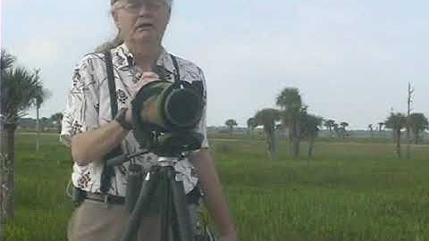 Using a Spotting Scope in Bird Watching