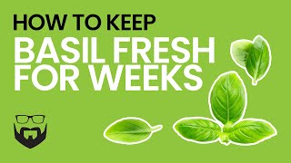 How to Keep Basil Fresh for Weeks