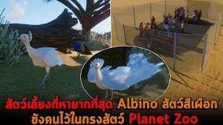 สัตว์เลี้ยงที่หายากที่สุด Albino สัตว์สีเผือก ขังคนไว้ในกรงสัตว์ Planet Zoo