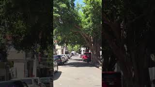 Atención catadores de rincones