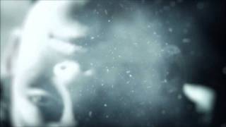 Download Lagu Tear's Don't Fall In Dreams - Quantum Download Lagu Tear's Don't Fall In Dreams - Quantum