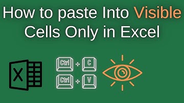 How To Paste Into Visible Cells Only When You Have Hidden Rows In Excel