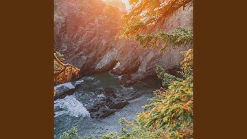 Simplistic Backdrops for Working at Home