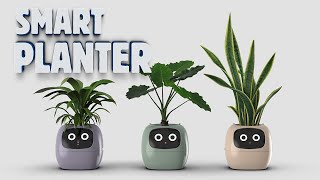 Top 5 Smart Plant Pots