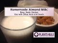 Homemade almond milk easy basic vegan recipe from plantsrule