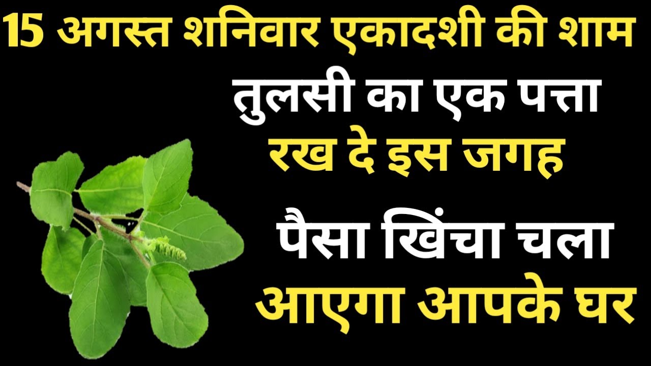 Parijat Tree Ke Fayde In Hindi