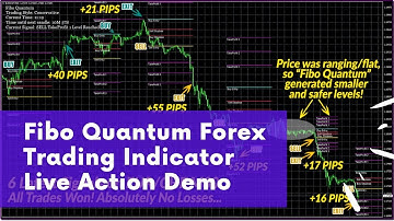 Fibo Quantum Forex Trading Indicator Live Action Demo