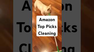 Upright Broom And Dustpan