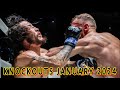 MMA Knockouts of January 2024