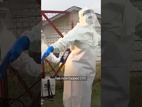 Video Ebola Deaths Top 200 in Africa as Officials Warn of Wider Risk