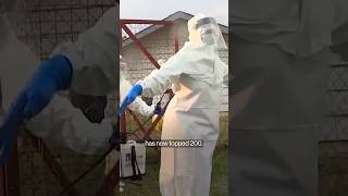 Ebola Deaths Top 200 in Africa as Officials Warn of Wider Risk