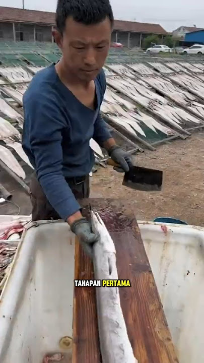 Cara Cepat Fillet Ikan Layur