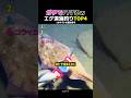 ガチでハマる深海釣りトップ4