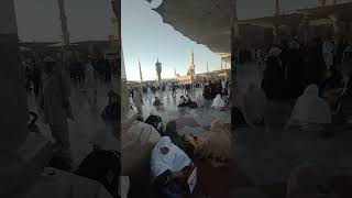 VID 20240131 174646783