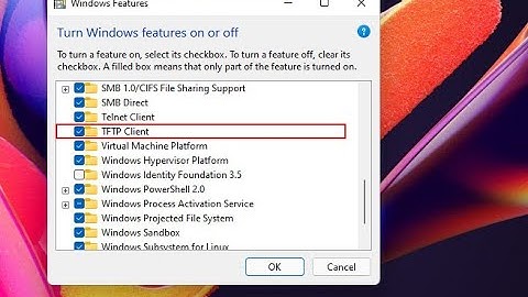 How to Setup and Configure TFTP Server on Windows 11