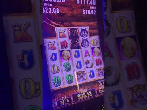 Majestic Pride Casino Goa | Full Information | Package | Dress Code | Age Limit | Kids Entry |
