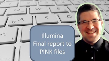 Illumina Final Reports to PLINK files