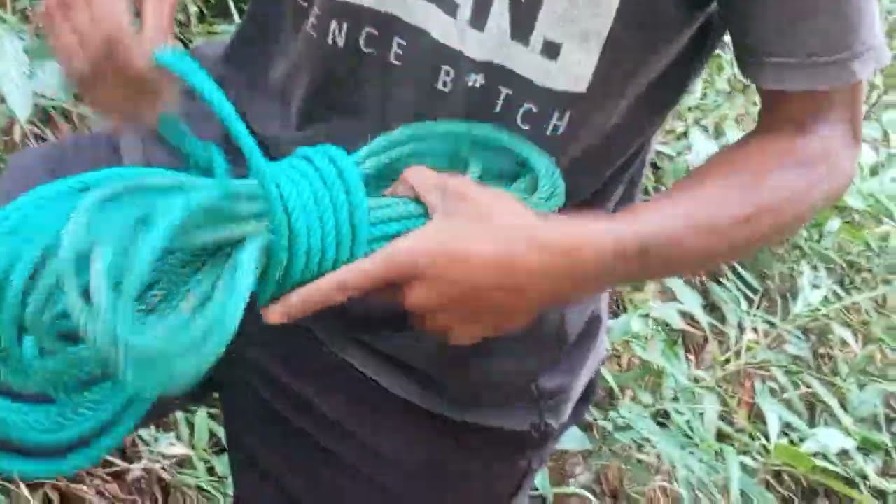 CARA MEMASANG DAN MENGIKAT TANGGA BAMBU DI POHON CENGKEH‼️PANEN CENGKEH