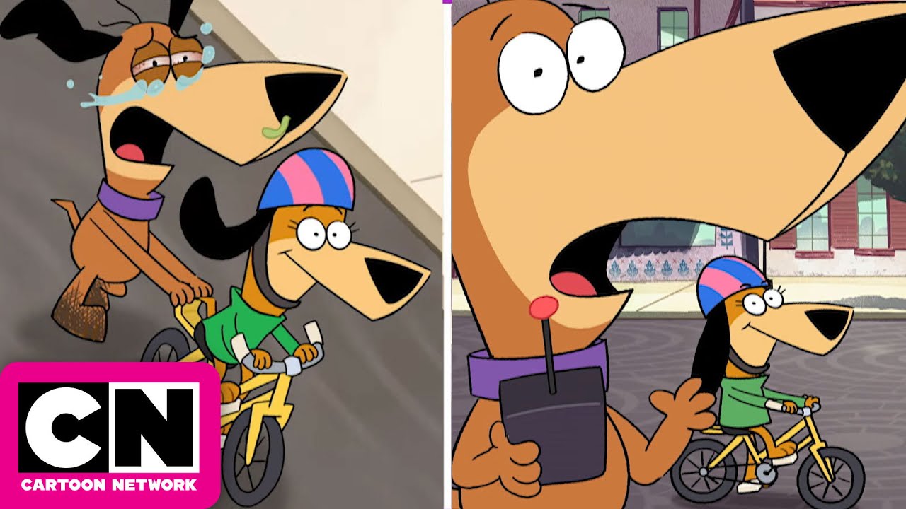 Health & Safety with Doggie Daddy | Jellystone! | Cartoon Network