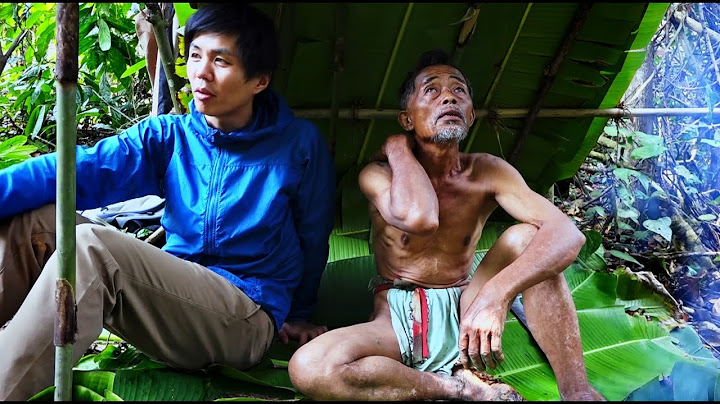 映画『森のムラブリ　インドシナ最後の狩猟民』予告編