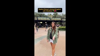 Meet Our Favorite Otters