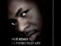 Nge Remix C4 Pedro E Ary 2013 mp3