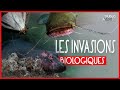 Les invasions biologiques