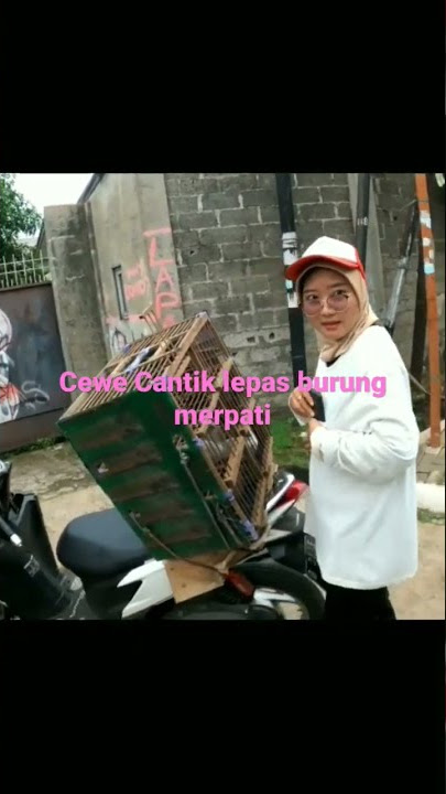 cewek cantik main burung merpati ketemu ojol #fypshorts#fyp#viral#OjolMotovlog