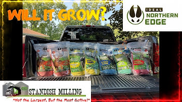 Can you Grow Food Plots in Sandy Soil?  Brassicas and Clover with Ideal Northern Edge! PART 1