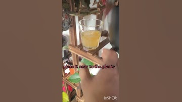 #ytshorts How to control fungus gnats #indoorplants