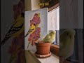 मीठी आवाज निकालने वाले पंछी #amazingfact #short