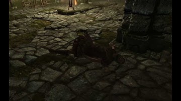 Skyrim - Screen Texture Glitch