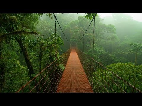 Vidéo: La Jungle Amazonienne Peut Provoquer De La Pluie - Vue Alternative