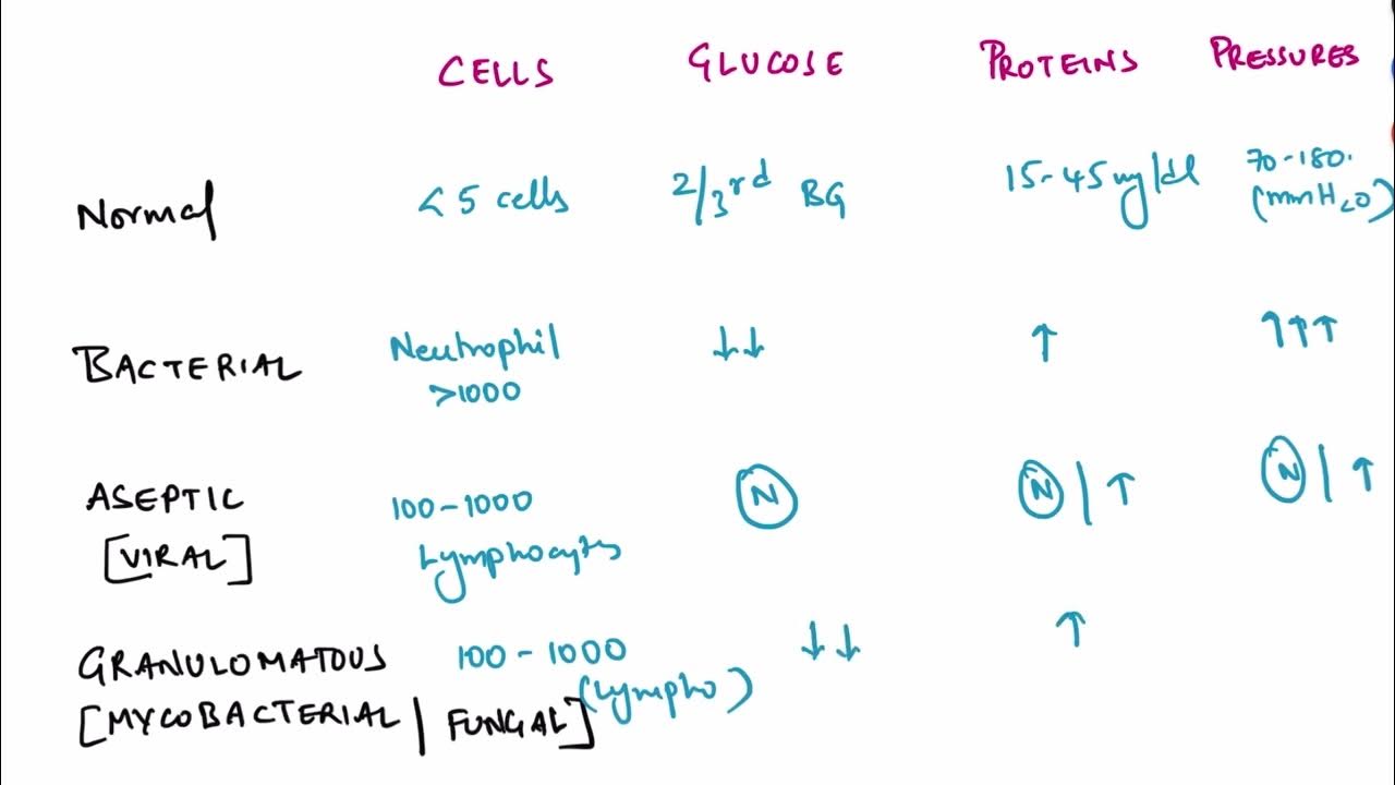 Easy way to remember CSF analysis in meningitis (flow chart) YouTube