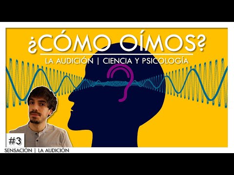 Vídeo: ¿Cómo Percibimos La Música? Vista Alternativa