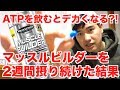 直接ATPを飲むとデカくなる?! 【MuscleTech/マッスルビルダー】を2週間摂った結果。