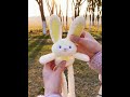 Considering our relationship, giving me a cheese yellow lop rabbit is not too much, right!
