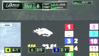 RACE 6 PROGRAM 7 11 2026