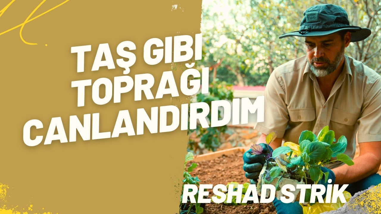 Taş Gibi Sert Toprağı Canlandırdım: Dev Saksıda Organik Fidan Dikimi 🪴