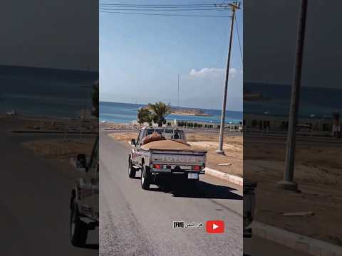 يا نور عيني ويا بهجت فوادي فؤاد الكبسي اليمن اكسبلور فؤاد الكبسي