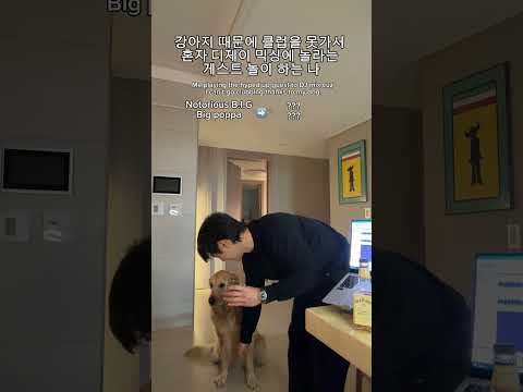 강아지 때문에 집에서 클럽놀이 하는 인간