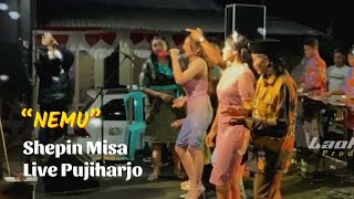NEMU SHEPIN MISA LIVE PUJIHARJO TIRTOYUDHO 01 September 2023