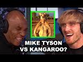 WOULD MIKE TYSON FIGHT A GORILLA OR KANGAROO?