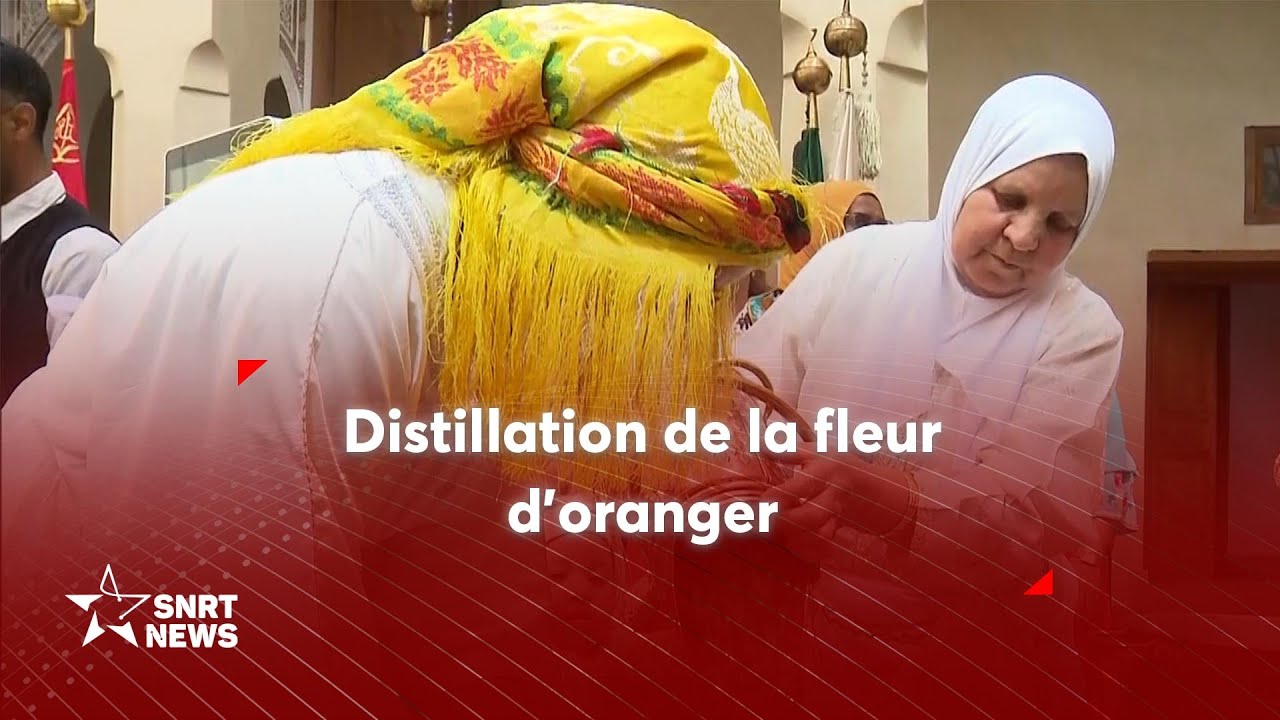 DISTILLATION DE LA FLEUR D'ORANGER - YouTube