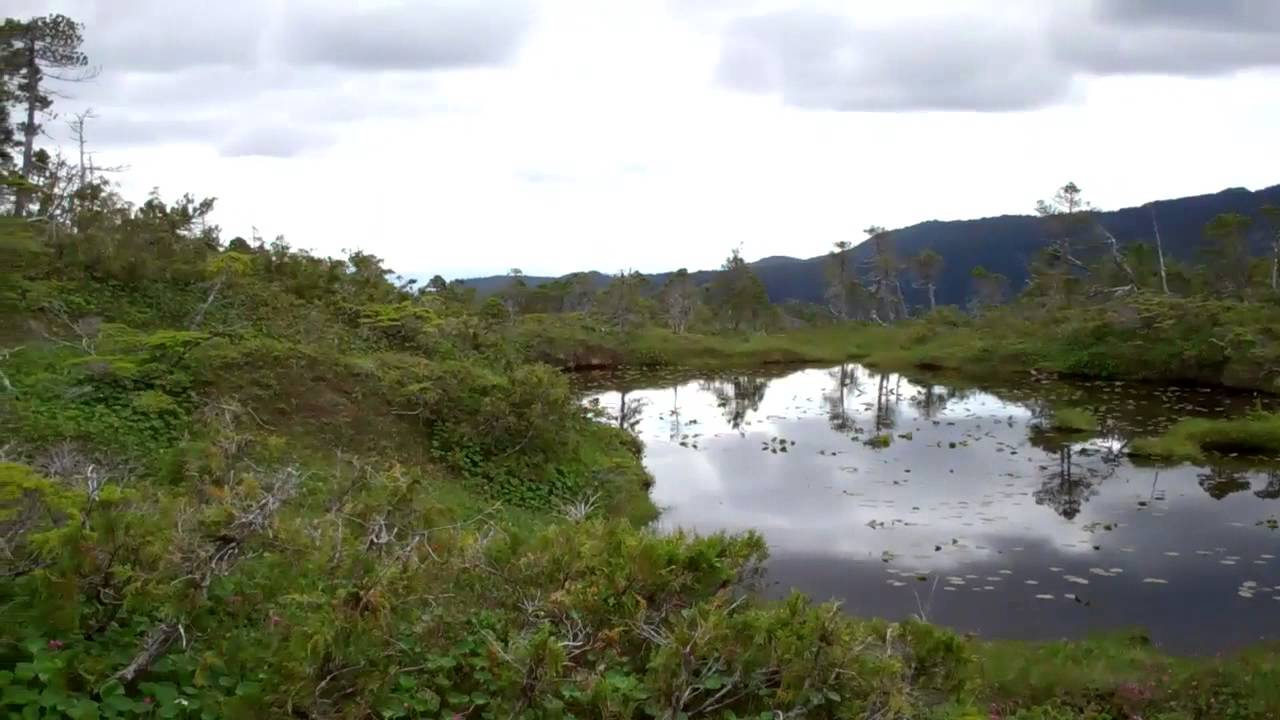 Alaska's One Duck Trail hike, Prince of Wales Island - YouTube